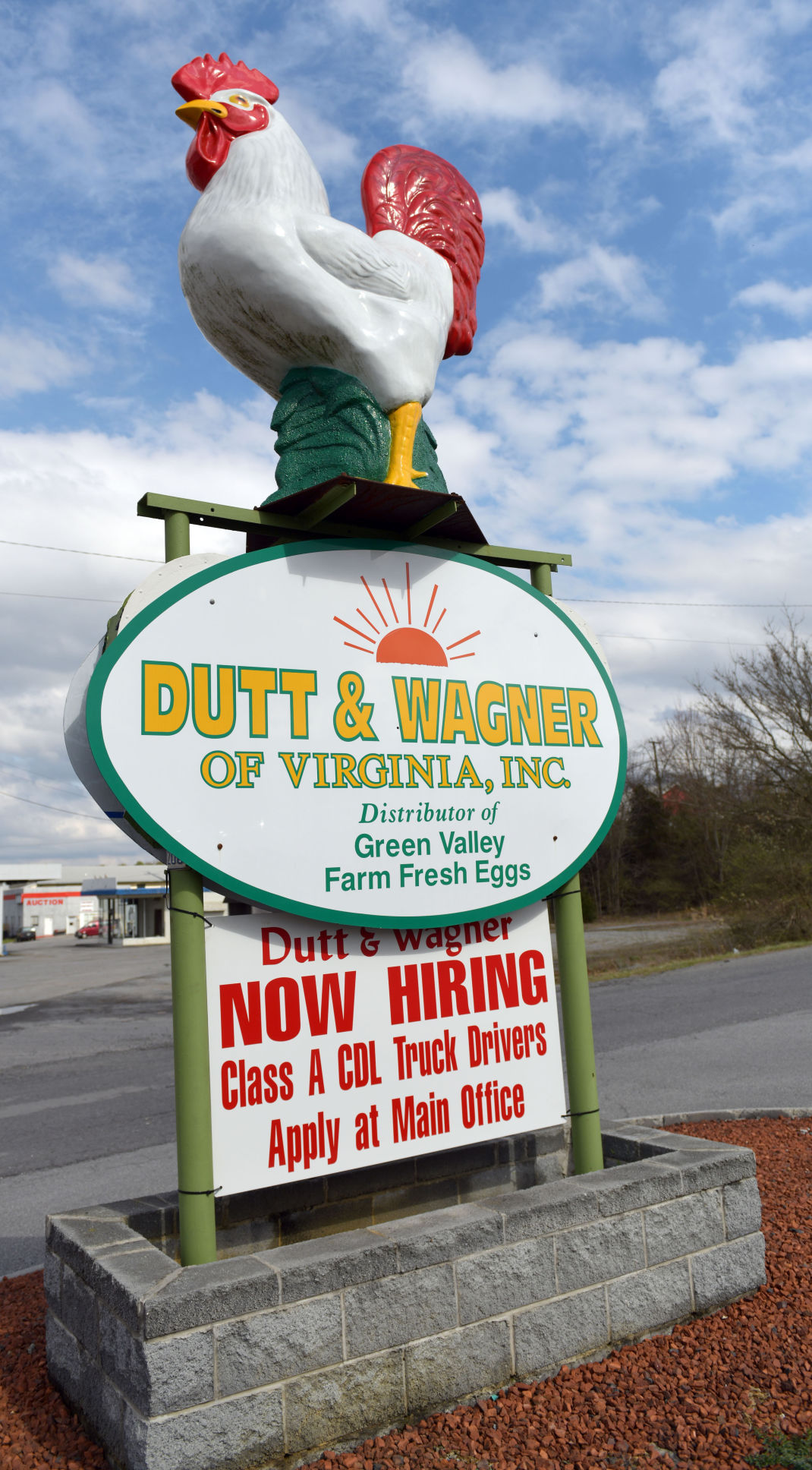 Dutt Wagner Eggs 02